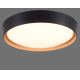 Leuchten Direkt 14347-18 - LED Dimmable light EMILIA LED/28,8W/230V black