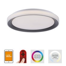 Leuchten Direkt 14659-18 - LED RGB Dimming ceiling light LOLA LED/24W/230V + remote control