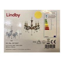 Lindby - Chandelier on a chain KORA 5xE14/40W/230V
