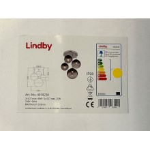 Lindby - Chandelier on a pole ROBYN 2xE27/40W/230V + 2xE27/25W/230V