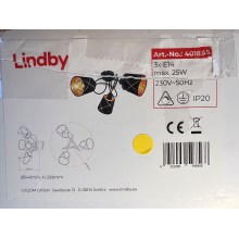 Lindby - Surface-mounted chandelier SINDRI 3xE14/25W/230V