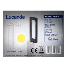 Lucande - LED Outdoor lamp FENTI LED/12W/230V IP65