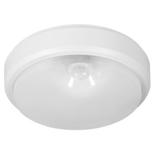Müller-Licht - LED Outdoor ceiling light with a sensor PICTOR LED/8W/230V IP54