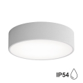 Outdoor ceiling light with a sensor CLEO 2xE27/48W/230V d. 30 cm grey IP54