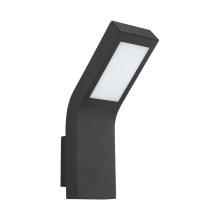 Outdoor LED wall light SOY LED/10W/230V IP54 black