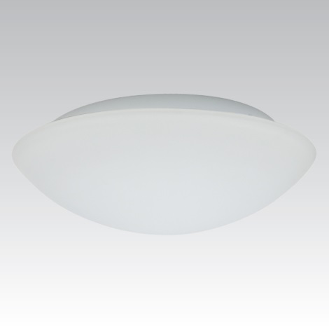 Outdoor wall light KAROLINA 2xE27/60W opal glass IP44