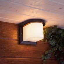 Outdoor wall light PETUNIA 1xE27/60W/230V IP44 anthracite