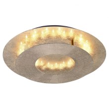 Paul Neuhaus 9011-12 - LED Ceiling light NEVIS LED/6W/230V gold