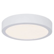 Paulmann 78923 - LED/13W IP44 Bathroom ceiling light AVIAR 230V