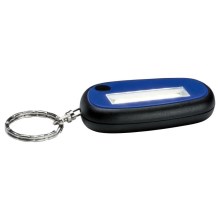 Paulmann 78968 - LED/1W Keychain MINI KEY