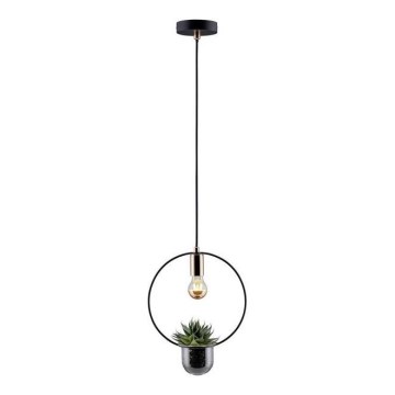 Paulmann 79748 - 1xE27/20W Chandelier on a string TASJA 230V