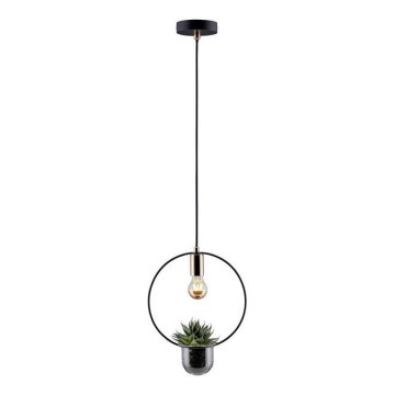 Paulmann 79748 - 1xE27/20W Chandelier on a string TASJA 230V