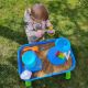 PETITE&MARS - Water and sand play table SANDY TIM