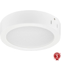 Philips - LED Bathroom ceiling light LED/21W/230V IP44 4000K