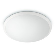 Philips - LED ceiling light 1xLED/20W/230V
