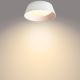 Philips - LED Ceiling light LED/14W/230V white
