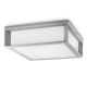 Philips - Outdoor ceiling light 2xE27/14W/230V IP44 grey