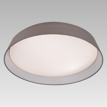 Prezent 45130 - LED ceiling light VASCO 1xLED/24W/230V