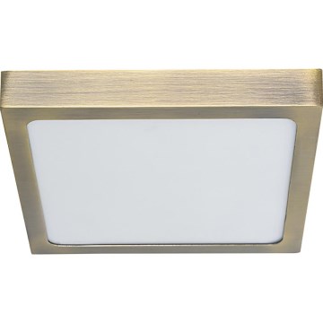 Prezent 49064 - LED Ceiling light LENYS LED/22W/230V 4000K 22,5x22,5 cm brass