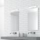 Rabalux - LED bathroom mirror light LED/6W/230V 34cm