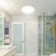 Rabalux - LED bathroom ceiling light LED/12W/230V