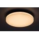 Rabalux - LED Bathroom ceiling light LED/24W/230V IP54