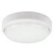 Rabalux - LED Outdoor ceiling light LED/15W/230V IP54 white