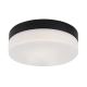 Rabalux - LED Bathroom ceiling light LED/18W/230V IP44 4000K d. 28 cm black