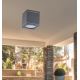 Rabalux - Outdoor ceiling light 1xGU10/35W/230V IP54