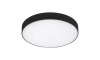 Rabalux - LED Bathroom ceiling light LED/24W/230V 3000-6000K IP44 black
