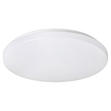 Rabalux - LED Ceiling light 1xLED/32W/230V