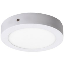 Rabalux - LED Ceiling light LED/12W/230V