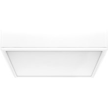 Rabalux - LED Ceiling light LED/22W/230V 3000/4000/6000K 21x21 cm white
