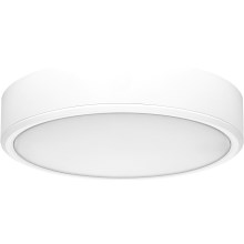 Rabalux - LED Ceiling light LED/22W/230V 3000/4000/6000K d. 21 cm white
