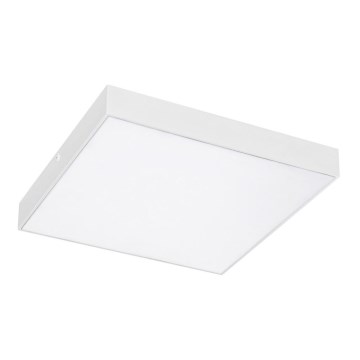 Rabalux - LED Ceiling light LED/24W/230V 3000-6000K IP44 white