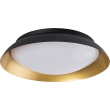 Rabalux - LED Ceiling light LED/24W/230V 3000K d. 40 cm