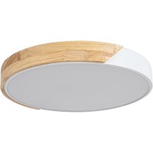 Rabalux - LED Ceiling light LED/24W/230V white