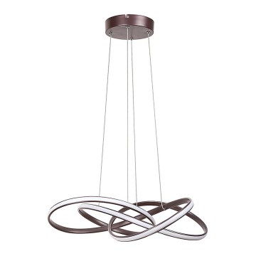 Rabalux - LED Chandelier on a string LED/40W/230V