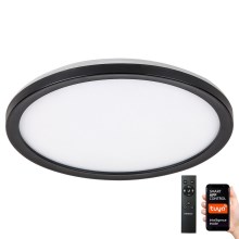 Rabalux - LED Dimmable outdoor ceiling light LED/15W/230V Wi-Fi Tuya 2700-6500K IP44 + remote control
