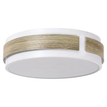 Rabalux - LED Dimming ceiling light LED/18W/230V