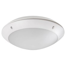 Rabalux - LED Outdoor ceiling light with sensor LED/12W/230V