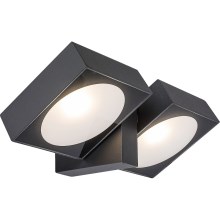 Rabalux - LED Outdoor wall flexible light 2xLED/7W/230V IP54 anthracite