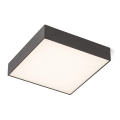 RED - Design Rendl - R12851 - LED Ceiling light LARISA LED/30W/230V black