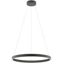 Redo 01-2867 - LED Dimmable chandelier on a string FEBE LED/37W/230V black