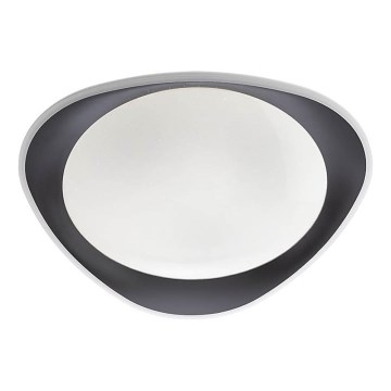 Redo 05-922 - LED Ceiling light VERENA LED/24W/230V anthracite