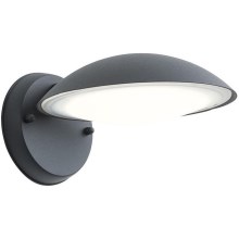 Redo 9617 - LED Outdoor wall lamp CAPP LED/12W/230V IP54 anthracite