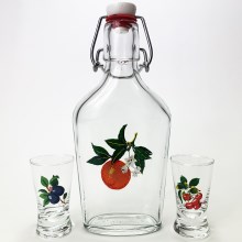 Set vector - 1x big bottle + 2x glass for shots clear with a fruit motif