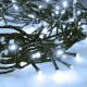 LED Outdoor Christmas chain 100xLED/8 functions 13m IP44 cool white