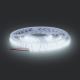 LED Strip LED/50W/12V 5m cool white