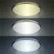 LED Dimmable ceiling light SILVER LED/24W/230V + remote control